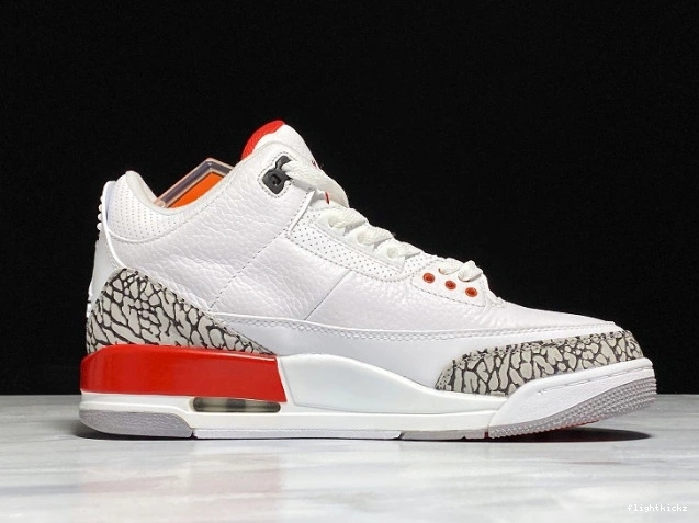 3 of Fame Hall 136064-116 Retro Jordan Air 1110